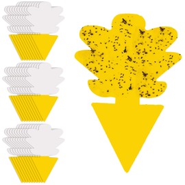 Fruit Fly Trap for Indoors Fungus Gnat Killer Indoor Sticky Traps for Mosquito and Flying Insects Yellow Sticky Paper Sheets 30 Pack Succulents