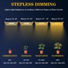 CANAGROW CG1200 LED Grow Light for Indoor Plants 2x2ft Coverage