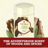 Old Spice Timber Sandalwood Deodorant Stick Pack of 3 Lasting