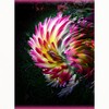 CafePress Dancing Dahlia Standard Size Playing Cards