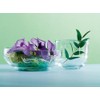 La Rochere Libellules Dragonfly Glass Tumbler 40cl, Set of 2