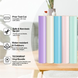 TECKWRAP Permanent Adhesive Vinyl Bundle for Crafting Cutter 12" x 36"/Rolls (Matte Lavender Purple,Ivory White,Cyan Blue,Light Pink,Mint Green)