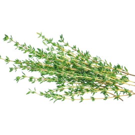 Chopped Dried Thyme 100g - Selected Premium Food Grade