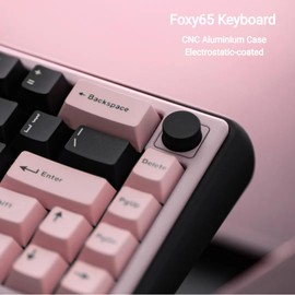 OOCTPK Chilkey Foxy65 Mechanical Keyboard with Knob, Gasket Mount 65% Aluminum Wireless Mechanical Keyboard, BT5.0/2.4GHz/USB-C, Hot Swappable, RGB Backlit Computer Custom Key Board for PC