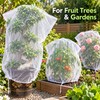 Plant Protection Bag Netting Mesh for Fruit Trees & Garden