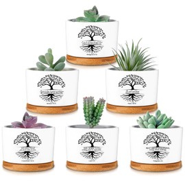 Sieral 6 Pcs White Bible Verse Succulent Pots with Drainage Christmas Appreciation 3.15 Inch Mini Christian Planter Accessories with Bamboo Tray for Teacher Coworker Gardener Gift, Plants Not Included