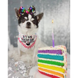 Dog Birthday Girl Outfit, Gotcha Day Dog Birthday Bandana and Dog Party Hat for Small Medium Large Dogs