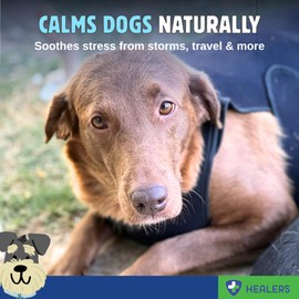 Healers Therapeutic & Anxiety Front Body Wrap for Dogs - Calming Compression Vest for Stress, Thunderstorms, Fireworks, Travel & Vet Visits - Soft, Adjustable, Machine Washable (Small)