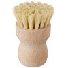 Fox Run 74908 Natural Dish Brush, Small, Not Applicable