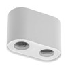 CGC Lighting White Twin Round Cylinder Surface Mount Ceiling Spotlight