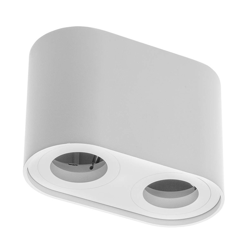 CGC Lighting White Twin Round Cylinder Surface Mount Ceiling Spotlight