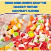 Freeze Dried Candy Gourmet Crunch Candies 24oz Bag Pouch Assorted