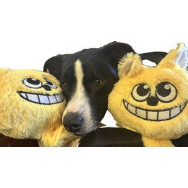 Gazoos Interactive Dog Toy (Freddie), Motion Activated Bouncing Talking Pet Toy, Exercise and Entertainment for Dogs and Puppies