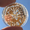 Real Snake Shedding 《Good Luck Pocket Token》 Traditional Lucky Charm