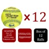 Worth | Slowpitch Softballs | GSL Approved | 12 Count
