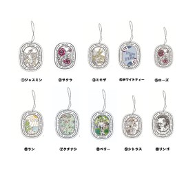 Micolora Car Air Freshener Hanging Closet (Set of 10, Jasmine & White Tea & Gardenia)