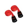 Malone 12 Feet Canoe and Kayak Cam Buckle Load Straps, 2 Pack