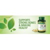 Nature's Bounty Immune Health Vitamin D3 5000 iu, Rapid Release