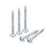 QUARKZMAN #8 x 1-1/2 inch pocket hole screws, 250 pieces