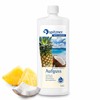 'SPITZNER Sauna Infusion Concentrate "Pineapple Coconut (1000 ml)