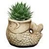 Classic Home and Garden 260023-C147 Largemouth Bass Succulent Planter, Sand
