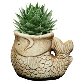 Classic Home and Garden 260023-C147 Largemouth Bass Succulent Planter, Sand