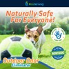 Outdoor Odor Eliminator | Outside Dog Urine Enzyme Cleaner –