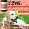 Petastical Skullcap Valerian, Cat Dog Calming, Anxiety Calming Drops, Home
