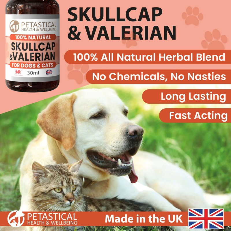 Petastical Skullcap Valerian, Cat Dog Calming, Anxiety Calming Drops, Home