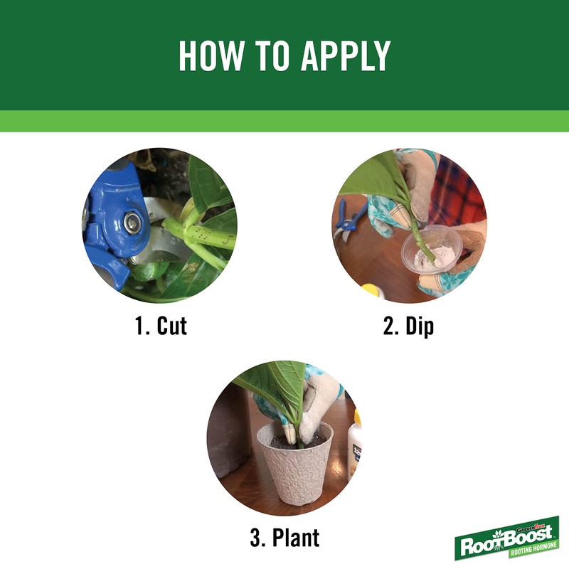 RootBoost Rooting Hormone 2 Ounces