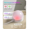 GOEBLESON Rechargeable Light Bulbs with Remote Control, 4 Packs E12