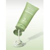 Holy Basil Green Capsule Pack-to-Foam Cleanser 120ml / 홀리바질 그린캡슐