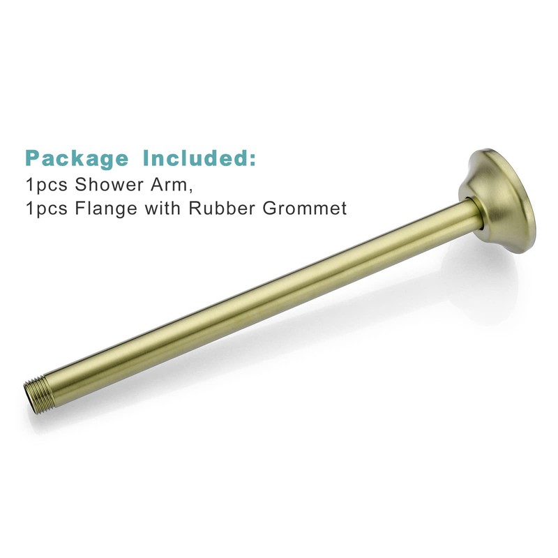 BESTILL 12 Inch Ceiling Mount Rain Shower Head Arm and