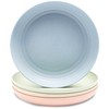 Wheat Straw Plate Set, Chip Resistant Plates (9 in, 4