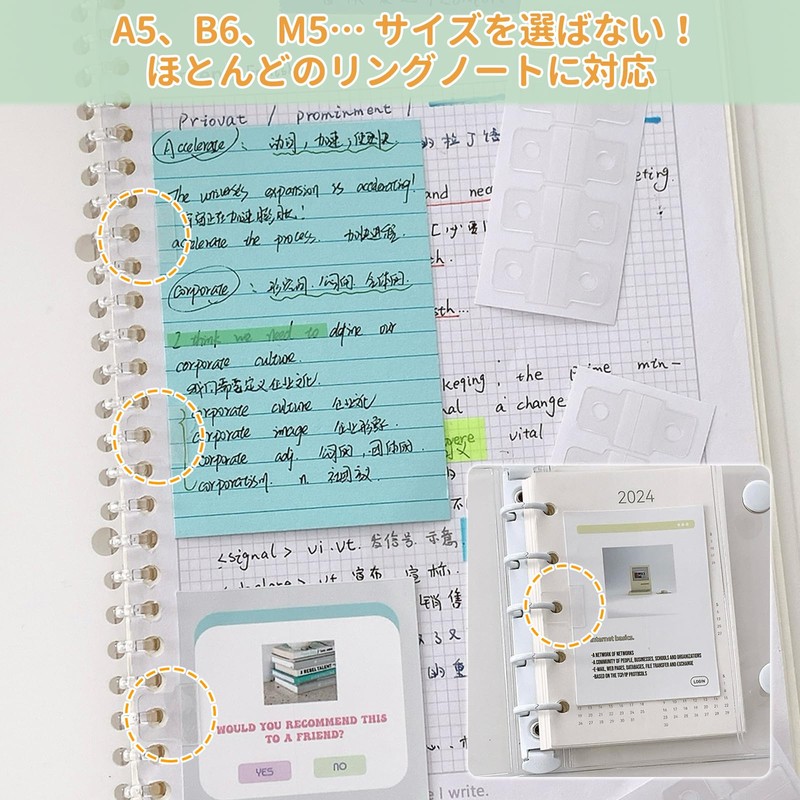 aninako Filing (10 Sheets)