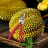 Kichvoe Durian Opener Hand Tools Durian Peel Breaking Tool Fruit
