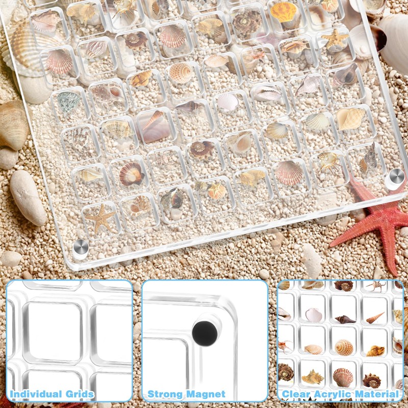 Acrylic Magnetic Seashell Display Box, 64 Grids Acrylic Seashell Display