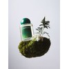 Flats Diffuser Ulsi 110ml (Dawn Forest, Woody Scent) / 플랫츠