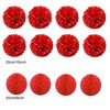 Zerodeco Tissue Paper Pompoms, Paper Fans and Honeycomb Balls, Decorative