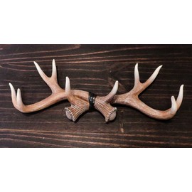 Ebros Gift Rustic Aged White Hunter's 10 Point Stag Deer Antlers Rack Wall Plaque 17" Wide Coat Hooks Multi-Purpose Hats Keys Scarves Belts Pet Leashes Hangers Antler Wall Hook