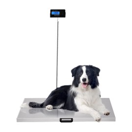 Digital Livestock Scale Pet Vet Scale Stainless Steel Platform Postal Shipping Scale 440 lbs Capacity