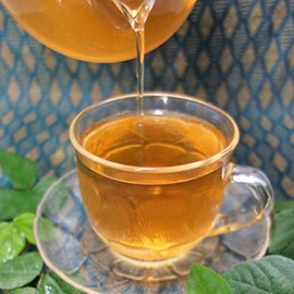 Gymnema Tea (Gymnema Sylvesta Tea) 1.4 oz (40 g) [Postal Compatible Size] Gymnema Tea [100% Indian Gymnema Sylvesta Tea Leaves] Health Tea Gallery