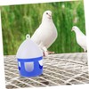 BESPORTBLE 2pcs Portable Bird Water Dispenser Reusable Pigeon Feeder Unique