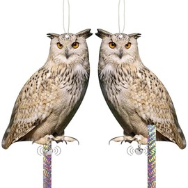 Kungfu Mall Hanging Flat Fake Owl to Keep Pigeon Away from Balcony 2PCS Garden Owls with Reflective Tape Plastic Owl to Scare Woodpecker Squirrel for Tree Outdoor House Patio Porch Front Porch Decor