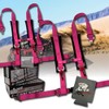 AAAA Aces Racing (Pair) 4 Point Harness with Ez Buckle