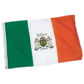 Riley Ireland Coat of Arms Flag - 12" x 18" (Small)