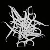 20pcs Professional Floss Picks Disposable Tooth Cleaning Floss Picks for