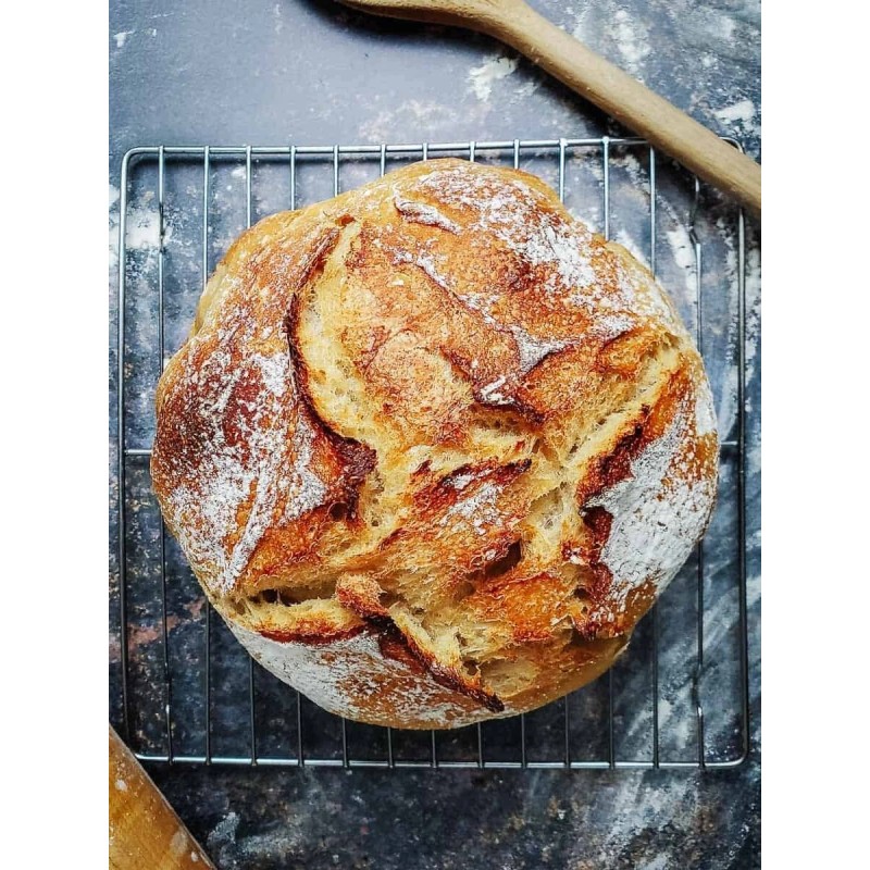 Heritage Sour San Francisco Sourdough Starter Dehydrated Active 200+ YRS