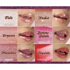 Italia Deluxe THIRSTY POUT pack 12 unidades