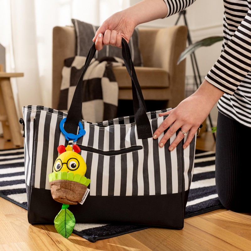 Baby Einstein Cal-a-Puller Pull & Shake Stroller Toy, Ages 0